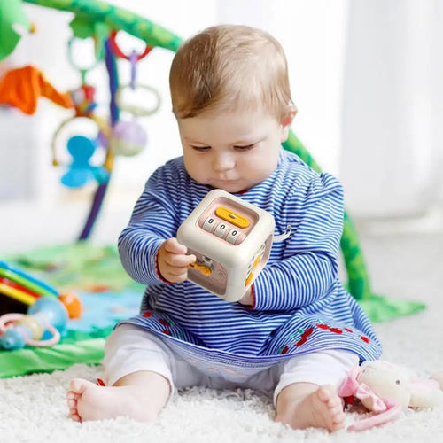 Montessori Activity Cube
